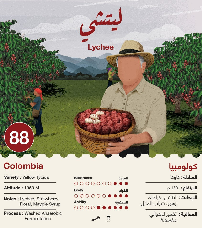 بروميت - ٢ لتر قهوة باردة